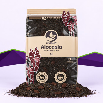 Alocasia Mix SybaSoil — Substrat für Alocasien, 5 L