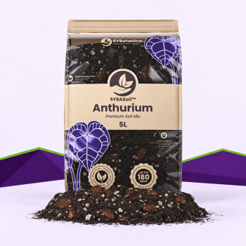 Anthurium Mix SybaSoil — Substrat für Anthurien, 5 L