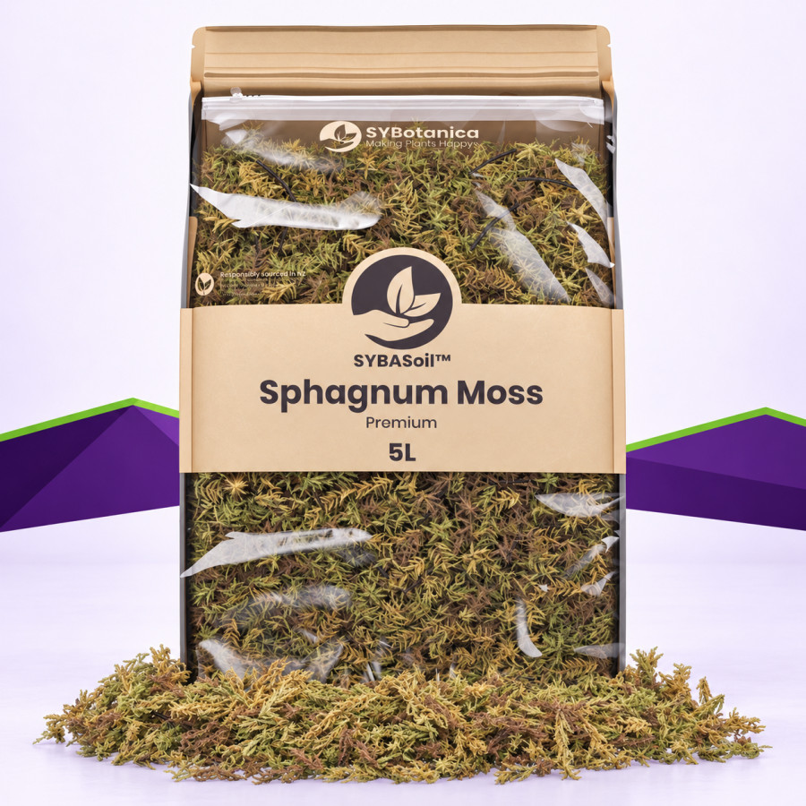 Sphagnum-Moos SybaSoil — Moos für Stecklinge und Epiphyten, 5 L