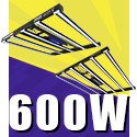 600W