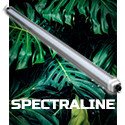 SpectraLINE