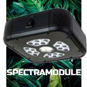 SpectraMODULE