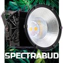 SpectraBUD