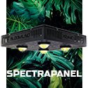SpectraPANEL