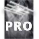 PROFI