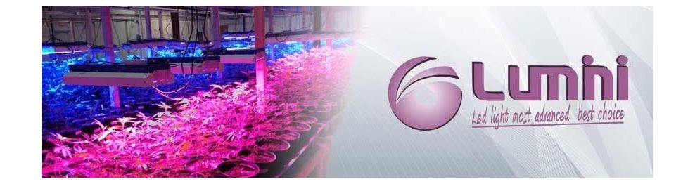 LuminiGrow
