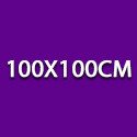 100 cm x 100 cm – 1 m²