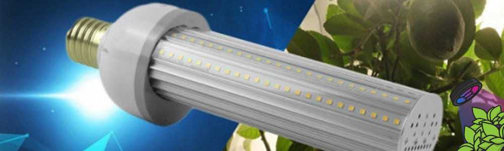 SpectraBULB X55 – Die LED-Gartenbaulampe von BloomLED