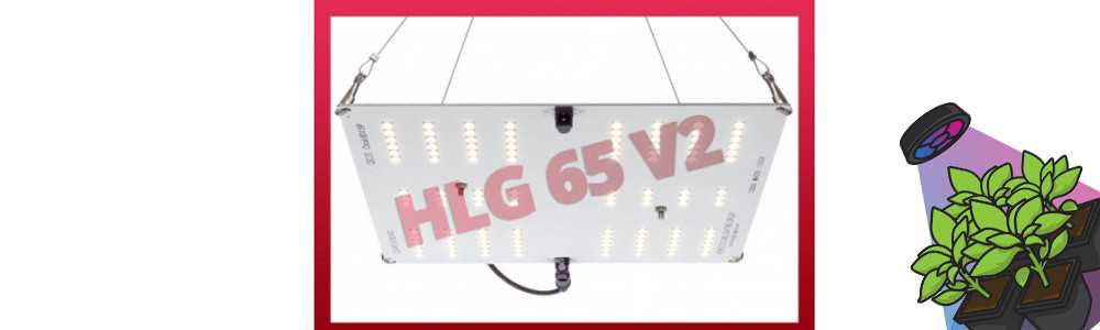 HLG 65 V2 – LED-Gartenbaulampe – Horticulture Lighting Group