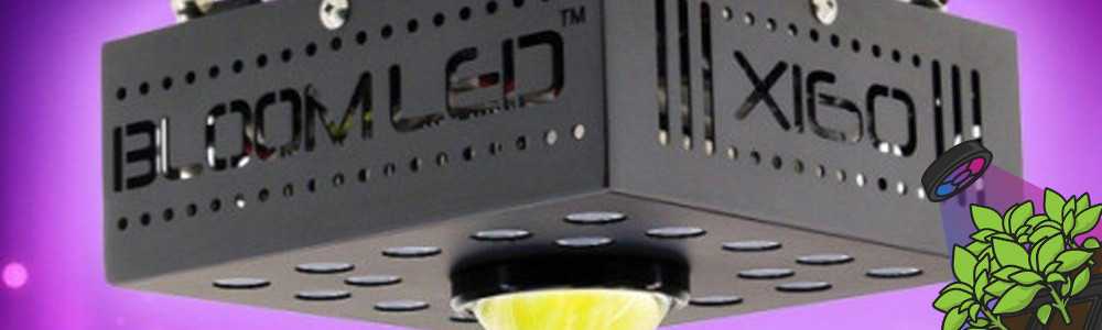 SpectraPANEL X160 LED-Gartenbaupanel