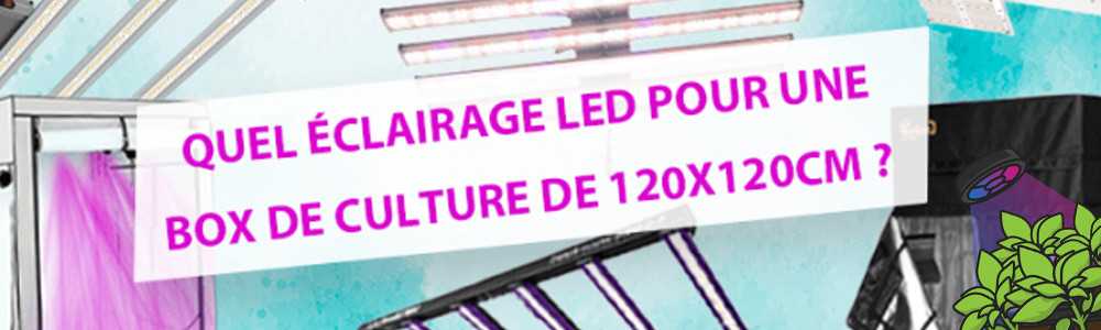 HINWEIS: Wählen Sie die beste Gartenbau-LED für eine 120 x 120 cm große Growbox