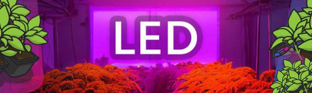 Warum sollten Sie sich im Jahr 2023 für eine LED-Gartenbaulampe entscheiden?