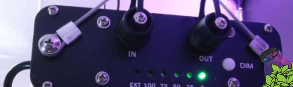 Haben SpectraWILDs einen Dimmer?