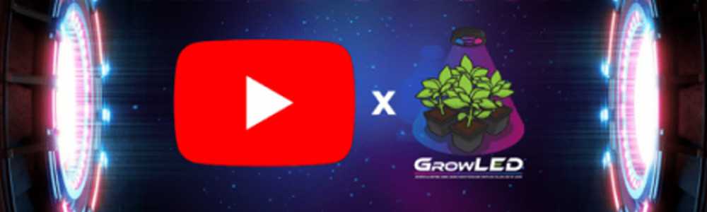 Schlussklatsch für die Saison 2020/2021 unseres GrowLED-YouTube-Kanals