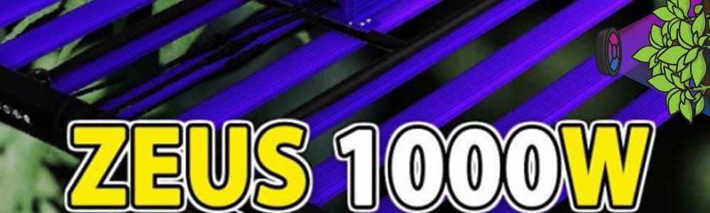 Wann wird der ZEUS 1000W PRO Lumatek erhältlich sein?