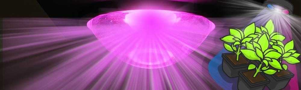 Wie funktioniert eine LED-Gartenbeleuchtungslampe?