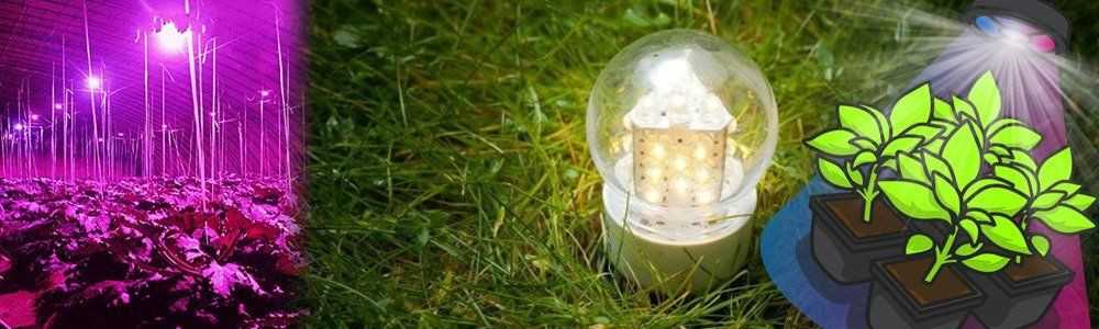 Ist es wichtig, eine Gartenbau-LED-Lampe zu verwenden?