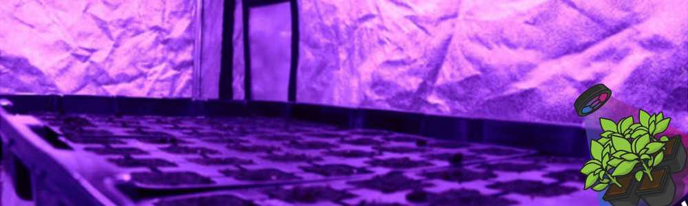 Cultiver ses semis en intérieur sous une lampe horticole LED