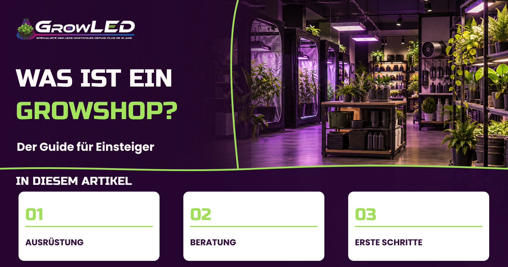 Was ist ein Online-Growshop? Eine vollständige Anleitung für Anfänger