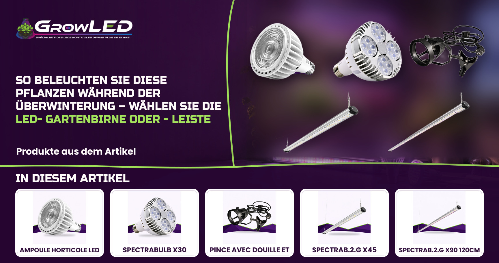 So beleuchten Sie diese Pflanzen während der Überwinterung – Wählen Sie die LED-Gartenbirne oder -Leiste