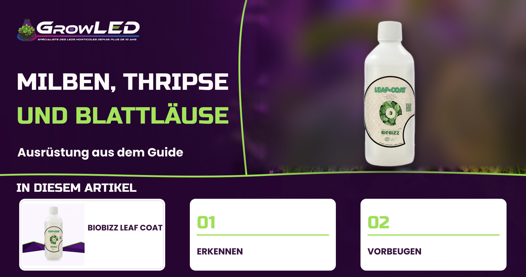 Spinnmilben, Thripse und Blattläuse: Schädlinge erkennen und behandeln