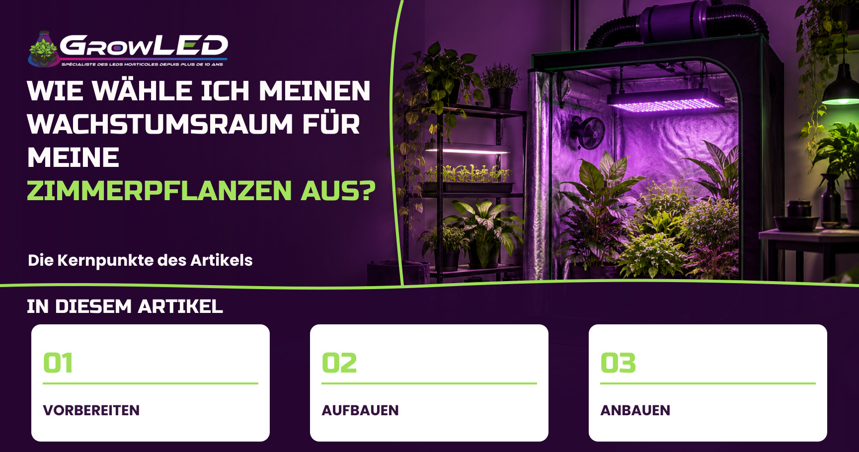Wie wähle ich meinen Wachstumsraum für meine Zimmerpflanzen aus?