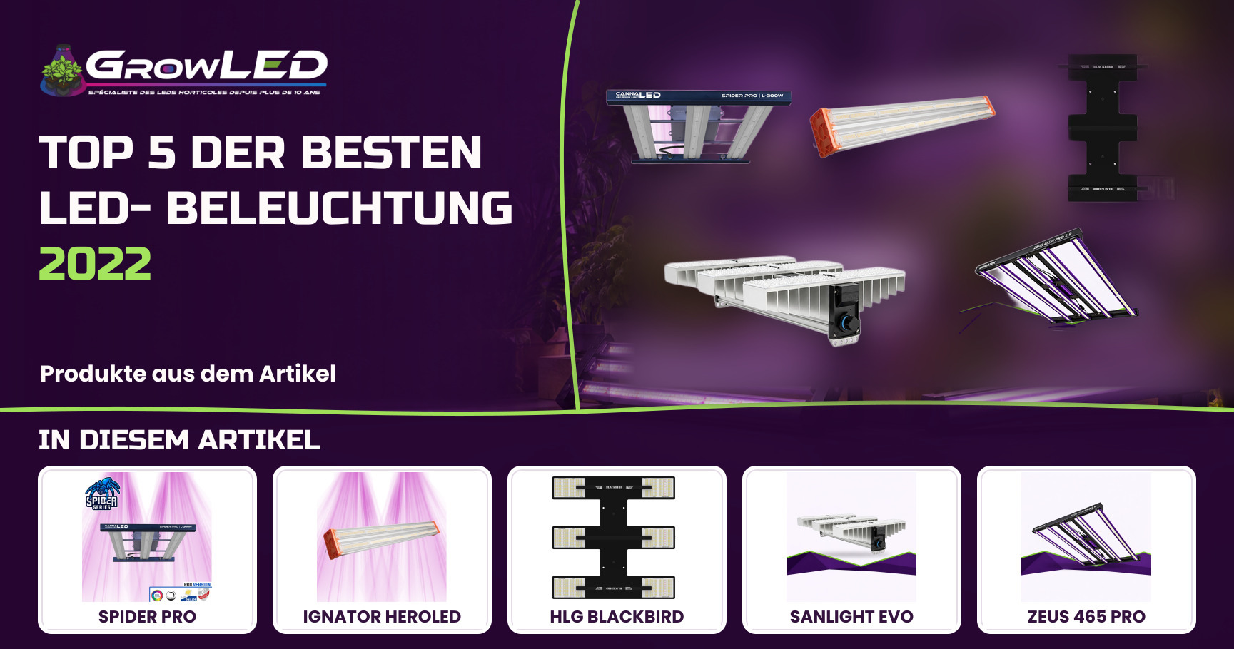 Top 5 der besten LED-Beleuchtung 2022