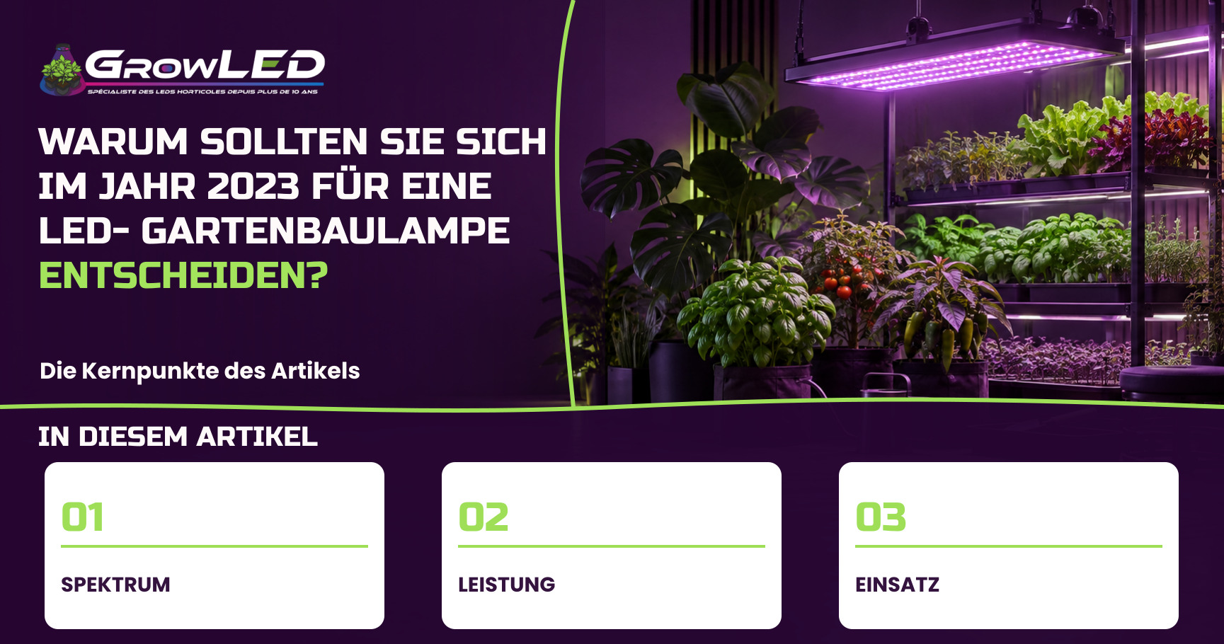 Warum sollten Sie sich im Jahr 2023 für eine LED-Gartenbaulampe entscheiden?
