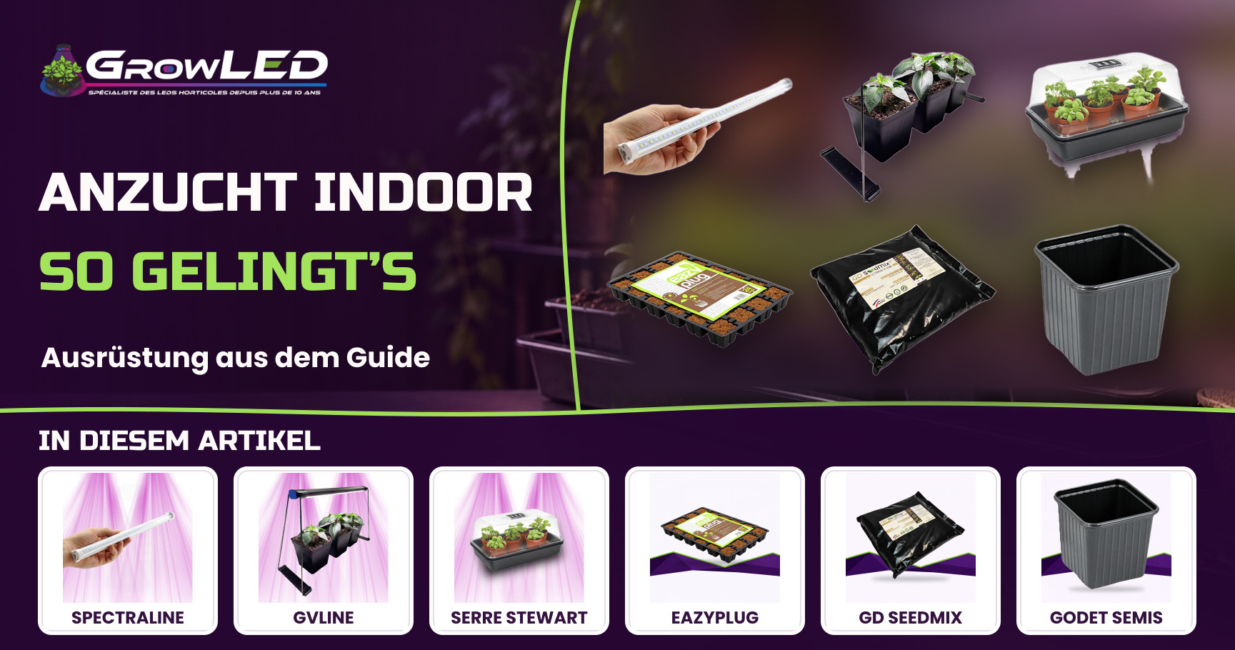 Das perfekte Produktset für eine erfolgreiche Indoor-Aussaat
