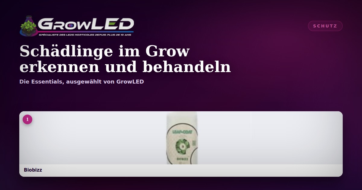 Spinnmilben, Thripse und Blattläuse: Schädlinge erkennen und behandeln