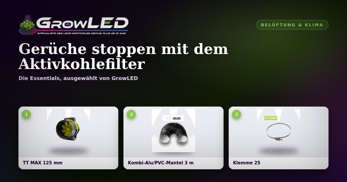 Kulturgerüche im Griff: die Schlüsselrolle des Aktivkohlefilters