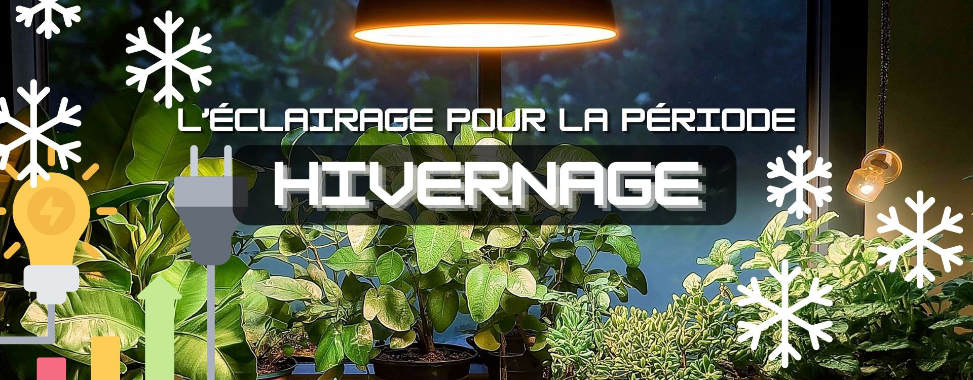 Comment éclairer ses plantes pendant l'hiver : ampoule ou barre ?