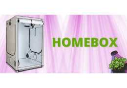 HomeBox : Der ideale Wachstumsraum für Indoor-Gärtner